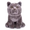 Tiny Heart Simulation British Short cat Plush Toys, 11.02inch Cute British Short cat Stuffed Animal Plush Toys for Kids Boys and Girls Kawaii Birthday Gifts, Room Decoration