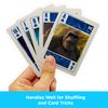 AQUARIUS Godzilla vs Kong Playing Cards – Godzilla vs Kong Themed Deck of Cards for Your Favorite Card Games - Officially Licensed Godzilla vs Kong Merchandise & Collectibles
