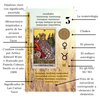 Witchy Cauldron Spanish Learning Tarot Card for Beginners with Meanings on Them - Training Beginner Tarot for Tarot Learners Including Chakra, Planet, Zodiac, Element, Yes or No.