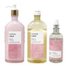 Generic Bath and Body Work Aroma Inspire Love ROSE & VANILLA Trio Set - Body Lotion - Body Wash + Foam Bath and Essential Oil Mist - Full Size, pink