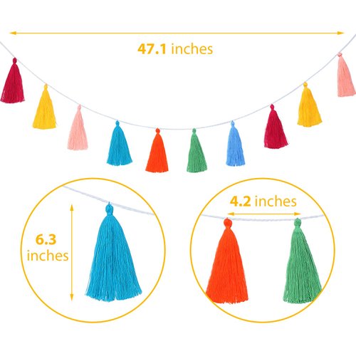 WILLBOND 4 Pieces Tassel Garland Boho Colorful Tassel Banner Decorative Wall Hanging for Home Decoration Wedding Birthday Baby Shower Party Supplies, Pre-Assembled (Tassel in 6.3 Inches)