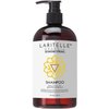 Laritelle Organic Shampoo 17.5 oz. Argan Oil, Ginger, Cedarwood. Promotes Hair Growth, Prevents Hair Loss. GF