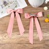 2PCS Silky Satin Hair Bows Hair Clip Pink Hair Ribbon Ponytail Holder Accessories Slides Metal Clips Hair Bow for Women Girls Toddlers Teens Kids