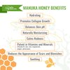 Manuka Honey Eczema and Psoriasis Body Wash - Organic, Vegan & Gluten-Free Body Wash with Manuka Honey, Aloe Vera & Cehami Flower Extract - Sulfate-Free & Natural