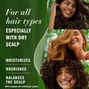 Herbal Essences Eucalyptus Sulfate Free Shampoo, Scalp Balance, 13.5 Fl Oz, with Certified Camellia Oil and Aloe Vera, For All Hair Types, Especially Dry Scalp