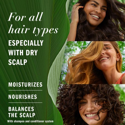 Herbal Essences Eucalyptus Sulfate Free Shampoo, Scalp Balance, 13.5 Fl Oz, with Certified Camellia Oil and Aloe Vera, For All Hair Types, Especially Dry Scalp