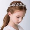 WILLBOND 2 Pieces Wedding Flower Crown Princess Wedding Headpiece Baptism Gift Communion Veil Crystal Tiara for Girls Wedding and Flower Girls