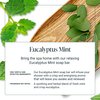 The Bubble Factory Eucalyptus Mint - Handmade in the USA, Palm Oil Free, All Natural Bar Soap, 3 Bars