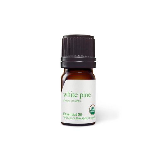 Aromatics International Premium Organic White Pine Essential Oil 5ml | 100% Pure Essential Oil for Diffusion & Aromatherapy