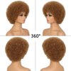 G&T Wig Afro Puff Wigs for Black Women 70s Wigs Natural Looking Fluffy and Bouncy Afro Curly Wigs for Daily Party Use (30#)