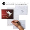 Divinity Boutique Boxed Christmas Cards:"Season's Greetings" Dove - Set Of 18,Red,24873