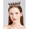 MR Metal Queen Crown for Women, Vintage Crowns and Tiaras Wedding Tiara Crystal Birthday Pageant Prom Headpieces Accessory Black