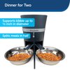 PetSafe 2-Pet Meal Splitter with Bowl - Easily Cleaned, BPA-No, Food-Grade Material -for PetSafe Smart Feed and Healthy Pet Simply Feed - Mess-No Food Dispensing -Includes Privacy Panel,One Size,Black