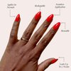 Glamnetic Press On Nails - Fiery Red | Opaque Bright Red Short Almond Fake Nails, Reusable | 15 Sizes - 30 Nail Kit