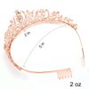 AOPRIE Birthday Sash for Girls Birthday Crowns Sweet 16 Birthday Tiara for Women Rose Gold Birthday Girl Headband Princess Crown Rhinestone Happy Birthday Accessories