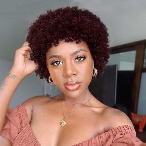 WIGER Short Afro Curly Wigs Human Hair for Black Women Afro Kinky Curly Wigs 99J Short Curly Afro Wigs None Lace for African American Lady for Daily