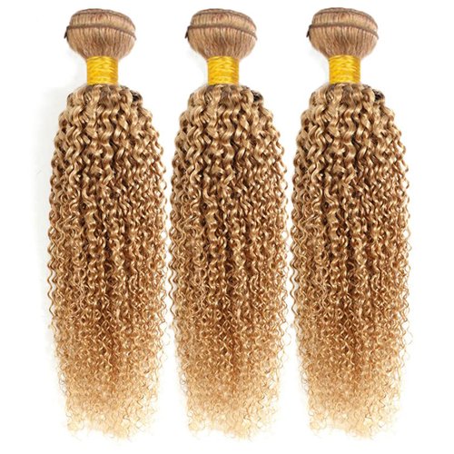 #27 Blonde Human Hair Bundles Curly Bundles Human Hair 26 28 30Inch 3 Bundles Human Hair Curly Human Hair Bundles 10A Unprocessed Brazilian Virgin Hair Color 27 Human Hair Bundles (#27-JC-26 28 30)