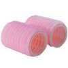 Aeyistry 2 Pcs Bangs Hair Curlers Roller Hair Styling Tools DIY Curly Hairstyle(Pink)