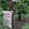 Kona Joe Gourmet Espresso Coffee Blend, Whole Bean Coffee (8 oz)
