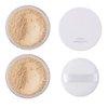 2 Pcs PHOERA Setting Powder, Control Oil Brighten Skin Color Cover Blemish Face Setting Loose Powder。 (02 Cool Beige)