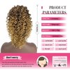 Deep Curly Drawstring Ponytail Extension for Black Women Afro Kinky Curly Pony Tail Hair Piece Synthetic Hair Extensions With 2 Clips 14 Inches (T33/27)