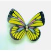 Generic Butterfly hair clips, 6 Count (Pack of 1), Pink,Blue,Green,Yellow,etc.