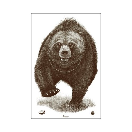 Alaska State Parks Bear Target, 100 Pack, Shooting Targets, Paper Targets