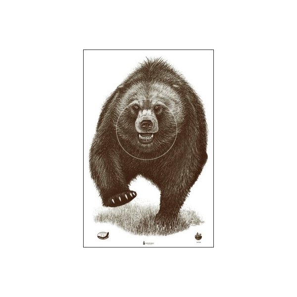 Alaska State Parks Bear Target, 100 Pack, Shooting Targets, Paper Targets