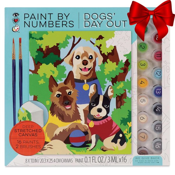 Bright Stripes Paint by Numbers Kit for Kids: Easy to Follow Paint by Numbers Canvas with Frame Kids Paint Kit (Paint by Numbers Dogs' Day Out)