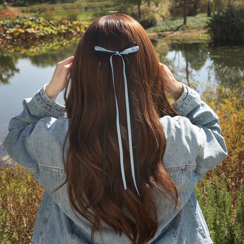 LFOUVRE Hair Bow Clips, Hair Bows for Women, Ribbon Bow Clips with Long Tassel, Bowknot Hair Ribbon for Girls, Ribbon Bow Clips for Hair, Blue Hair Bow Hair Accessories for Girls 4pcs