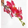 2PCS Hawaiian Orchid Flower Hair Clips Flowers Alligator Clips Hairpins Holiday Travel Wedding Decoration Hair Accessories For Women Lady Bridal (White Green)