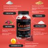 Creatine Monohydrate 120 Gummies for Men & Women- 5g, Sugar-Free Pre-Workout Gummy W/L-Taurine, Betaine Anhydrous, Alpha GPC, Vitamin B12, Chewable Gummies for Muscle Strength & Energy Boost (1 Pack)