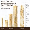 Earth Animal No-Hide Rolls Salmon Recipe Medium Natural Rawhide Alternative Dog Chews | 6.3 oz