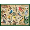 Cobble Hill 1000 Piece Puzzle - Popular Backyard Wild Birds of North America - Sample Poster Included