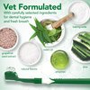 Vet's Best Dog Toothbrush & Toothpaste Kit - Natural Ingredients Reduce Plaque, Whiten Teeth, Freshen Breath