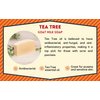 Goat Milk Stuff Goat Milk Soap - TEA TREE | Natural Soap Bars For Women and Men, Face Soap for acne - Handmade (Box of 2)