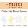 MRS. MEYER'S CLEAN DAY Foaming Hand Soap, Oat Blossom, 10 Fl Oz (Pack of 1)