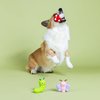 Fringe Studio "Keeping IT Natural, Set of 3, Latex Dog Toy Sets, Pet Shop Collection (367052)