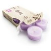 Pure English Lavender Premium Tealight Candles - Highly Scented with Essential & Natural Oils - 6 Purple Tea Lights - Beautiful Candlelight - Made in The USA - Flower & Floral Collection