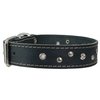 Dogs My Love Genuine Leather Dog Collar Studded 1.5" Wide, 16.5"-20" Neck (Black)
