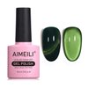 AIMEILI Cat Eye Gel Nail Polish Soak Off U V LED Hema Free Cruelty Free Vegan Gel Polish Colors for Nail Art DIY Gel Nail Manicure 756
