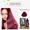 Herbishh Hair Color Shampoo for Gray Hair – Magic Hair Dye – Colors Hair in Minutes–Long Lasting–500 Ml–3-In-1 Hair Color–Ammonia-Free (Burgundy)
