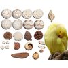 AEspares 24 Pc. Bird Toys Interactive and Durable Play Toys for Pet Birds Parrots Cockatiels Conures Caiques Parakeet Budgies Other Parrots Breeds and Birds Breeds