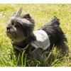 TOUCHDOG 'Tough-Boutique' Adjustable Fashion Designer Pet Dog Harness and Leash Combination, Small, Light Sand Brown