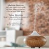 Nature’s Answer USDA Organic Tea Tree Essential Oil, 100% Pure | Natural Aromatherapy Oil for Diffuser/Humidifier, Steam Distilled 0.5 fl oz. (15ml) | Made in USA