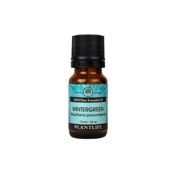Plantlife Wintergreen Aromatherapy Essential Oil - Straight from The Plant 100% Pure Therapeutic Grade - No Additives or Fillers - 10 ml