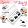 GLAMOREYELASH 750 Promade Fans Loose Mix, Natural Eyelashes Extensions 3D-16D, Handmade Individual Lashes 0.03/0.05/0.07mm Thickness, C CC D, 8-16mm Length for Fluffy Eyelash Cluster (14D-0.03-C, 15-16-17mm)