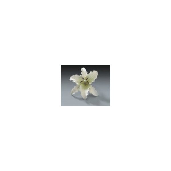 Item#36806 - Cake Decoration Gum Paste Stargazer Lily