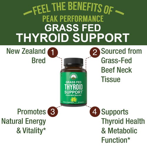 Raw Desiccated Thyroid Supplement. Grass Fed New Zealand Beef Neck & Thyroid Gland Capsules for Women and Men. Ancestral Living Ethically Sourced Bovine Supplements for Energy and Metabolism Support
