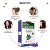 Indus Valley Bio Organic 100% Pure Indigo Powder & Henna Powder Hair Color Combo Kit | Herbal Henna & Indigo Powder Without Preservatives for Natural Hair Dyeing - 100 gm Each